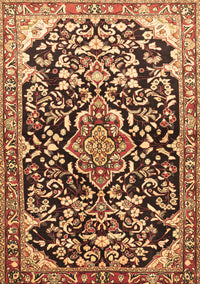 Medallion Brown Traditional Rug, tr1055brn