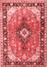 Persian Red Traditional Area Rugs