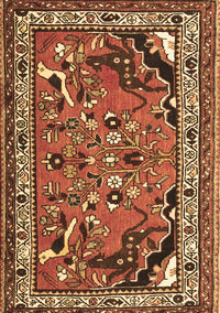 Persian Brown Traditional Rug, tr1060brn