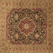 Square Medallion Brown Traditional Rug, tr1063brn