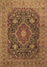 Medallion Brown Traditional Rug, tr1063brn