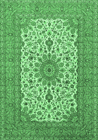 Medallion Emerald Green Traditional Rug, tr1065emgrn