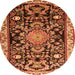 Machine Washable Animal Orange Traditional Area Rugs, wshtr1071org