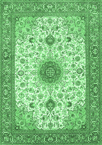 Medallion Emerald Green Traditional Rug, tr1072emgrn