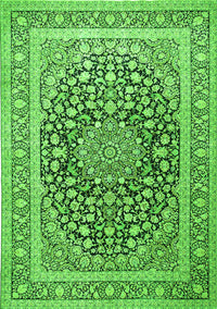 Medallion Green Traditional Rug, tr1076grn