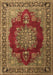 Medallion Brown Traditional Rug, tr1079brn