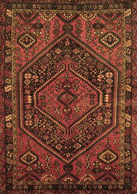 Persian Brown Traditional Rug, tr107brn