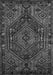 Persian Gray Traditional Rug, tr107gry