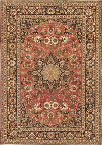 Medallion Brown Traditional Rug, tr1083brn