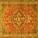 Square Persian Yellow Traditional Rug, tr1086yw