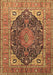 Medallion Brown Traditional Rug, tr1089brn