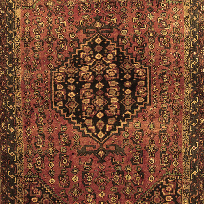 Machine Washable Persian Brown Traditional Rug, wshtr108brn