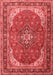 Medallion Red Traditional Area Rugs