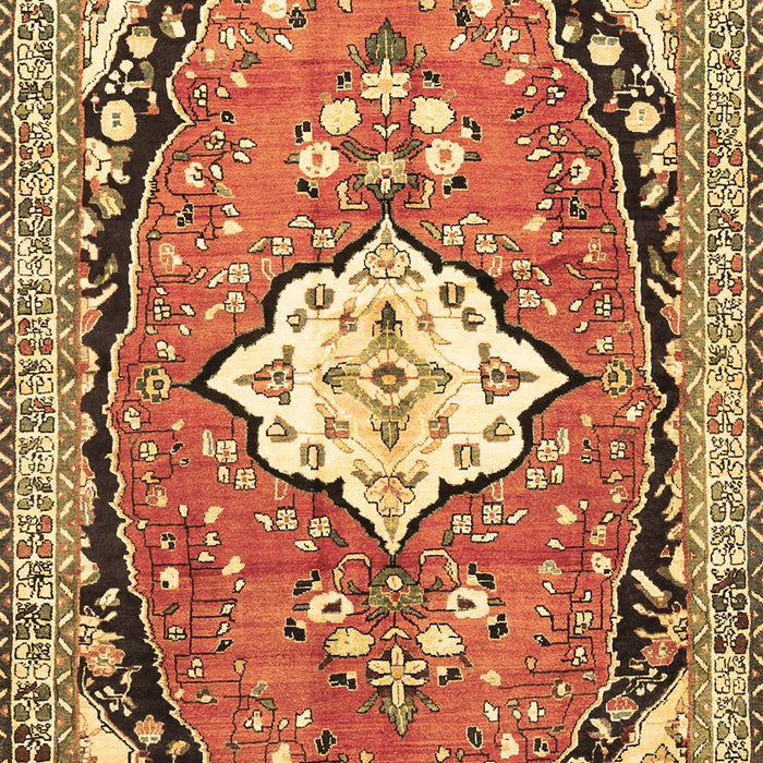 Medallion Brown Traditional Rug, tr1098brn