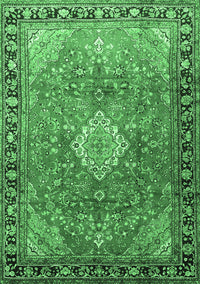 Persian Emerald Green Traditional Rug, tr1099emgrn