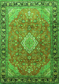 Persian Green Traditional Rug, tr1099grn