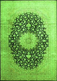 Medallion Green Traditional Rug, tr10grn