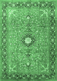 Persian Emerald Green Traditional Rug, tr1102emgrn