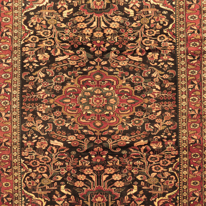 Persian Brown Traditional Rug, tr1103brn
