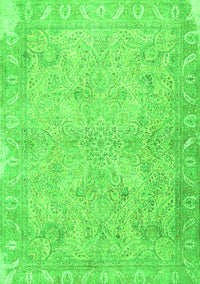 Oriental Green Traditional Rug, tr1106grn