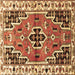 Square Machine Washable Persian Brown Traditional Rug, wshtr1108brn