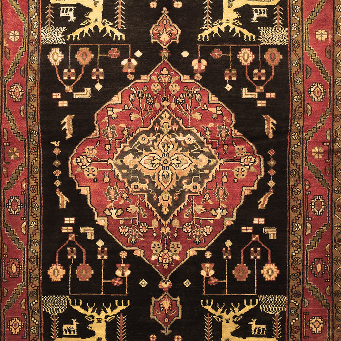 Machine Washable Animal Brown Traditional Rug, wshtr1110brn