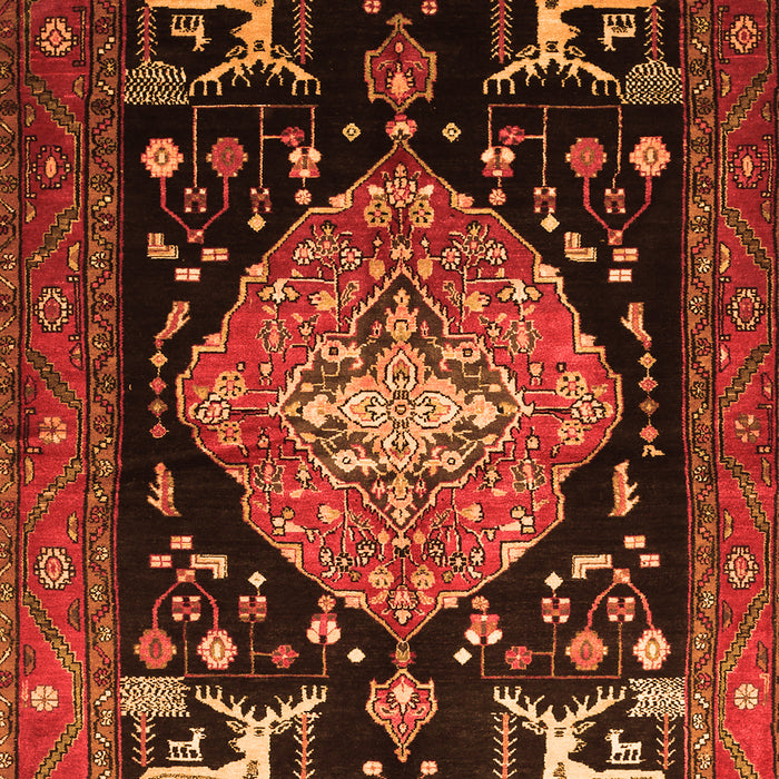 Serging Thickness of Machine Washable Animal Orange Traditional Area Rugs, wshtr1110org