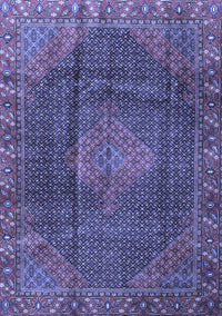 Persian Blue Traditional Rug, tr1114blu