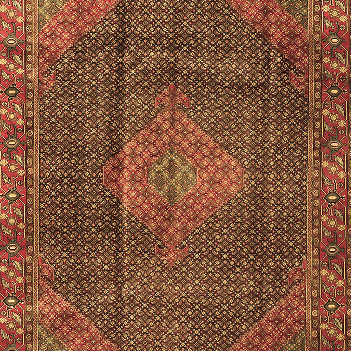 Persian Brown Traditional Rug, tr1114brn