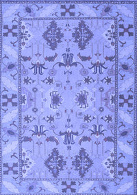 Persian Blue Traditional Rug, tr1119blu