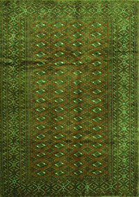 Southwestern Green Country Rug, tr111grn