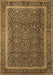 Persian Brown Traditional Rug, tr1121brn