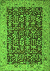 Persian Green Traditional Rug, tr1124grn