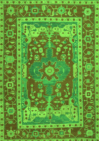 Persian Green Traditional Rug, tr1128grn