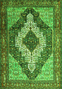 Medallion Green Traditional Rug, tr1147grn