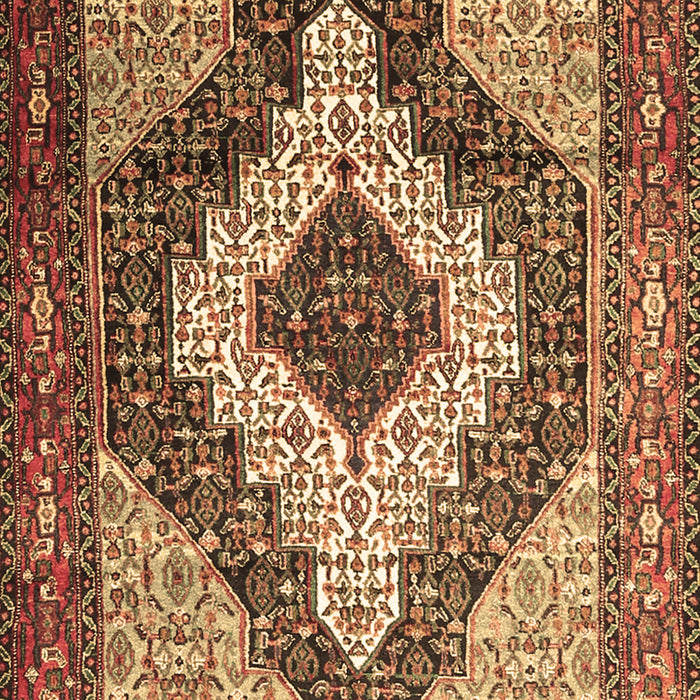 Machine Washable Medallion Brown Traditional Rug, wshtr1147brn