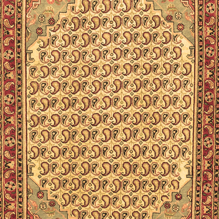 Machine Washable Persian Brown Traditional Rug, wshtr114brn
