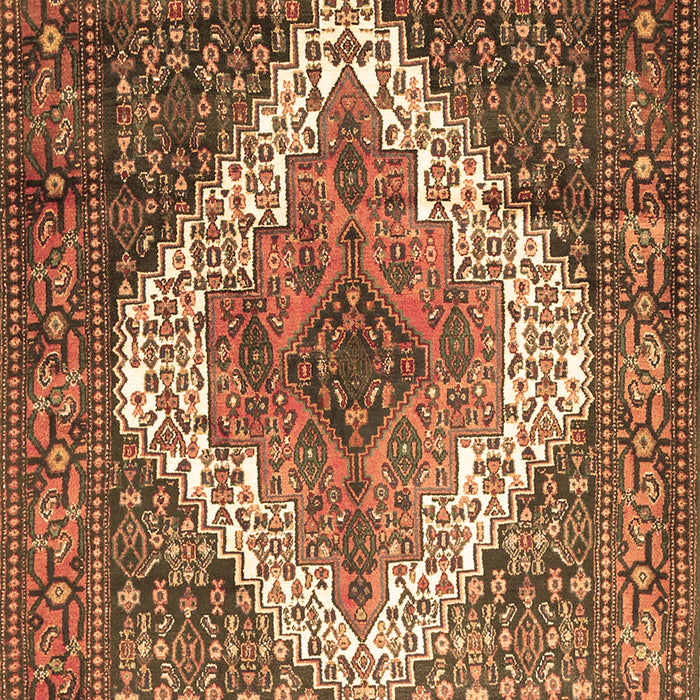 Medallion Brown Traditional Rug, tr1150brn