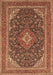 Medallion Brown Traditional Rug, tr1151brn