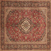 Square Machine Washable Persian Brown Traditional Rug, wshtr1153brn