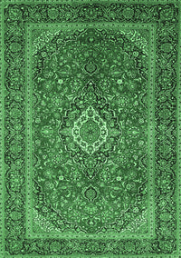 Persian Emerald Green Traditional Rug, tr1153emgrn