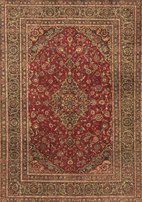 Medallion Brown Traditional Rug, tr1156brn