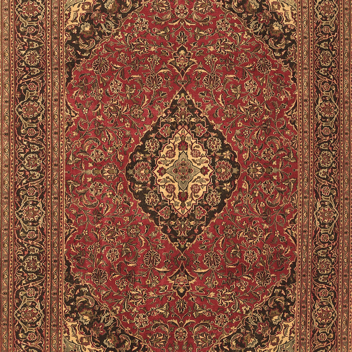 Medallion Brown Traditional Rug, tr1158brn