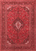 Medallion Red Traditional Area Rugs