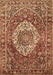 Medallion Brown Traditional Rug, tr1160brn