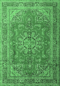 Medallion Emerald Green Traditional Rug, tr1165emgrn