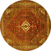 Round Persian Yellow Traditional Rug, tr1168yw