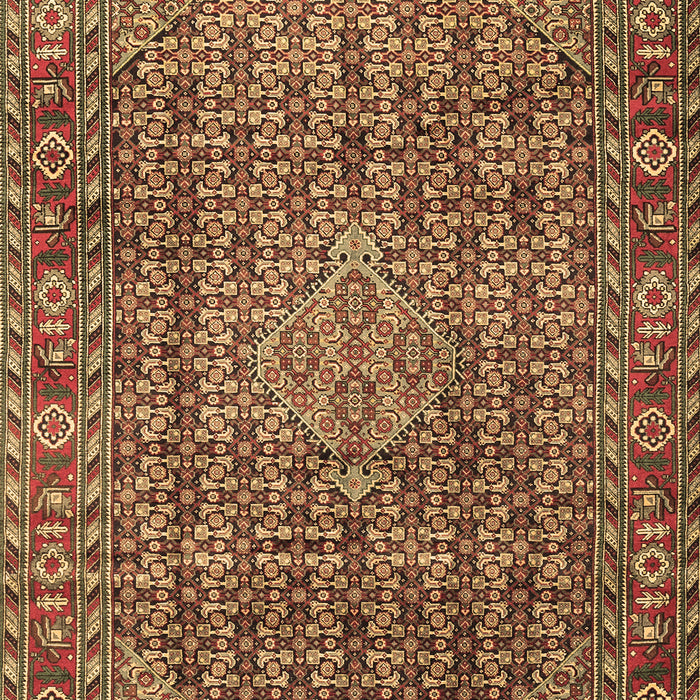 Machine Washable Persian Brown Traditional Rug, wshtr1169brn