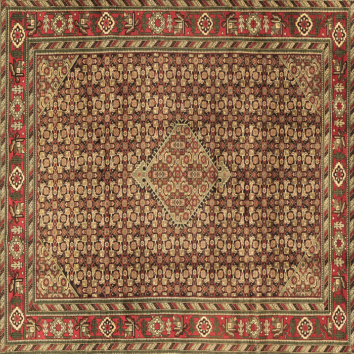 Square Machine Washable Persian Brown Traditional Rug, wshtr1169brn