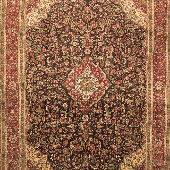 Medallion Brown Traditional Rug, tr116brn